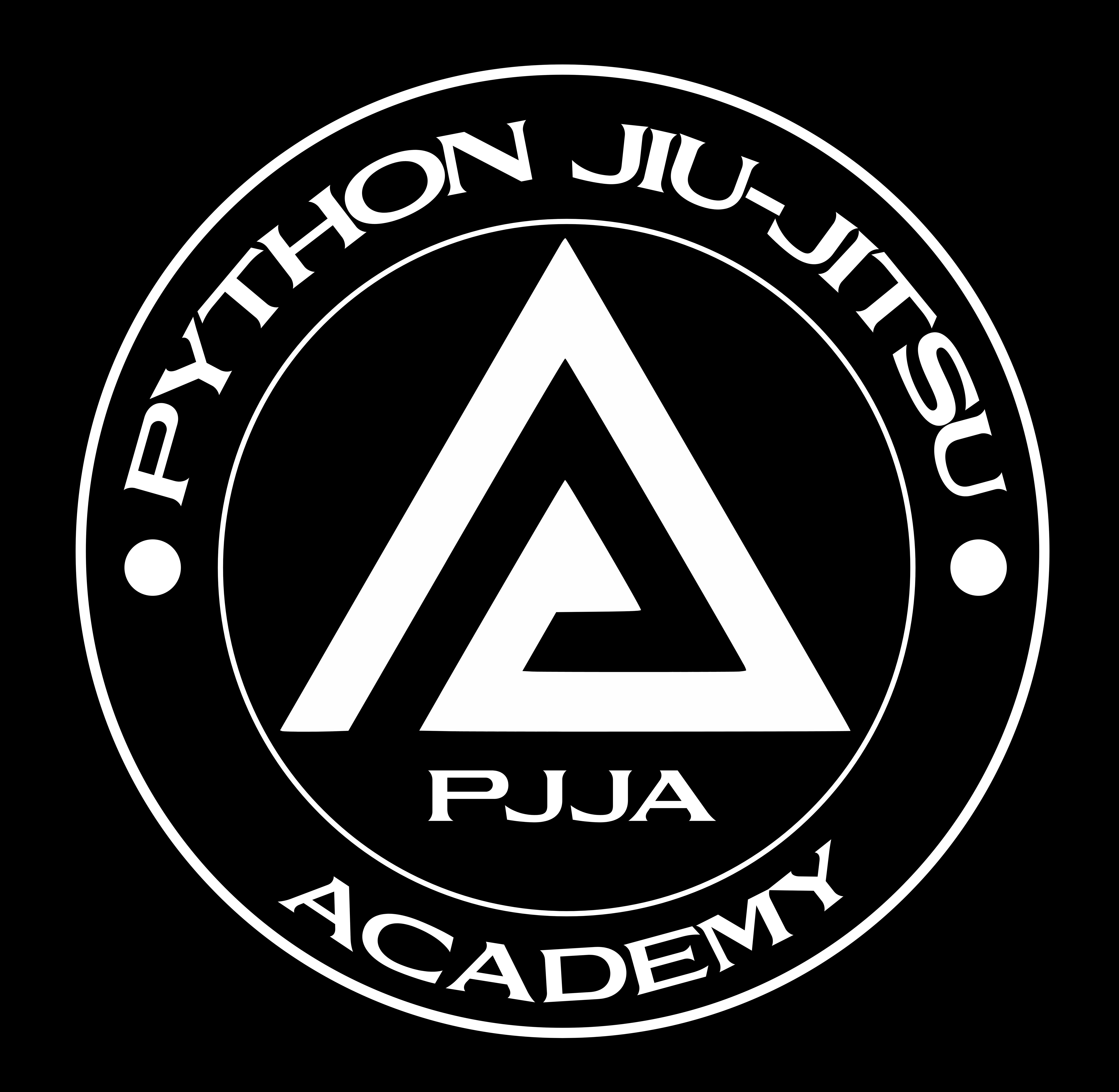 Python Jiu Jitsu logo