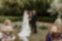 IMG_2617 Large.jpeg