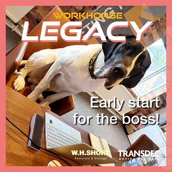 Workhorse-early-start 2.png