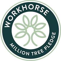 Tree Planting