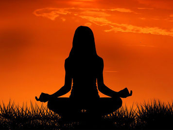 Journey Through Meditation