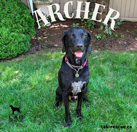 Archer