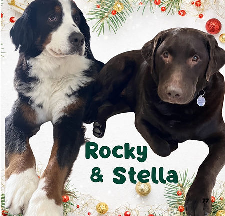 Rocky and Stella