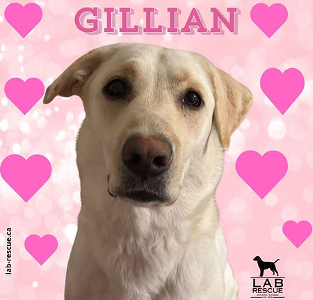Gillian
