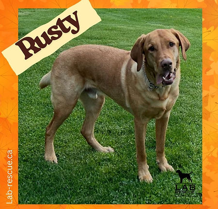Rusty