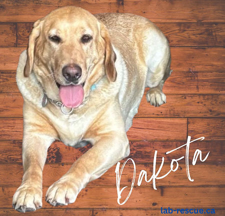 Dakota