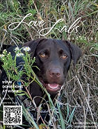 Cover CLIP Winter 2025 e 23.jpg