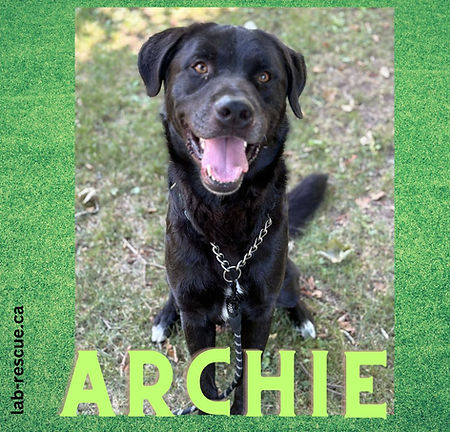 Archie