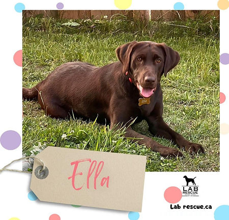 Ella
