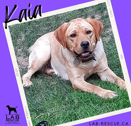 Kaia