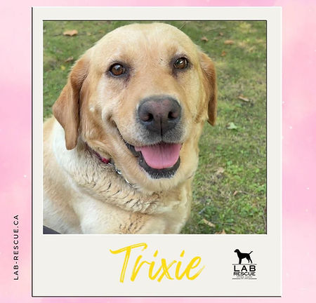 Trixie