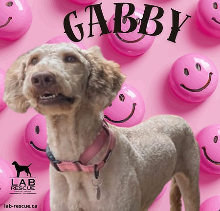 Gabby