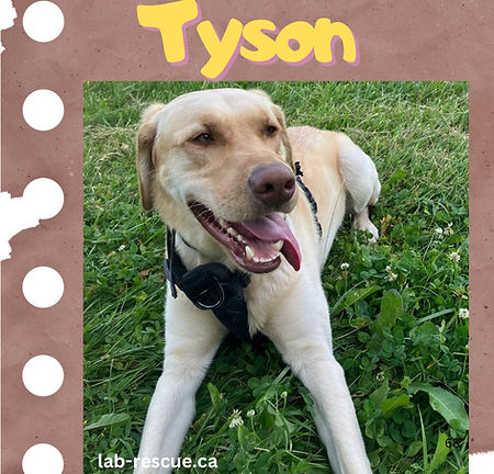 Tyson