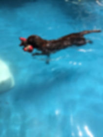 image3.jpeg