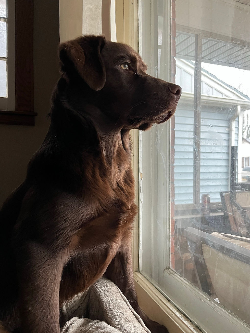 maybelle 2