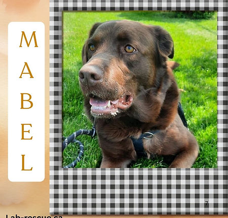 Mabel