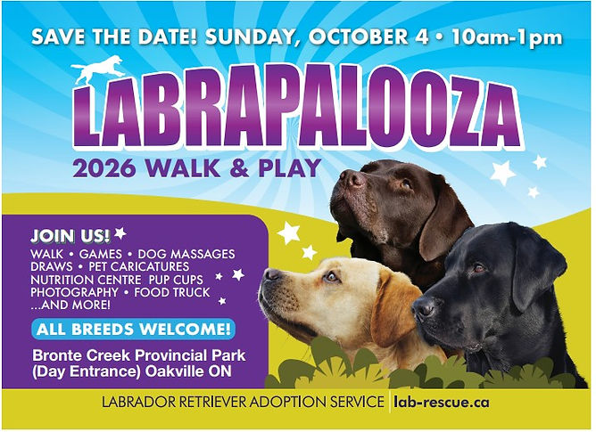 Labrapalooza save the date Oct 4 2026 .jpg