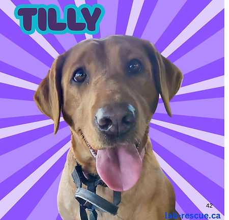 Tilly