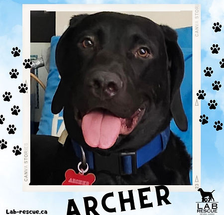 Archer