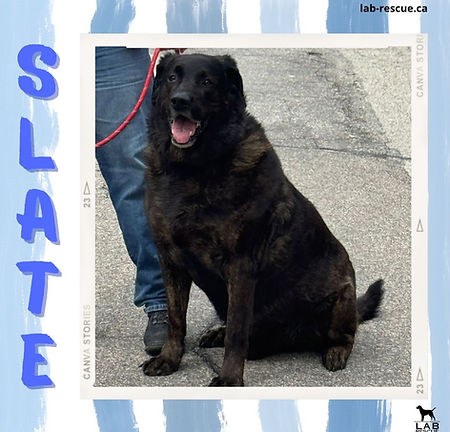 Slate
