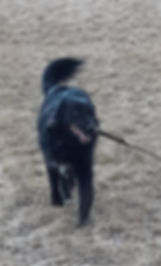 Image (4).jpeg