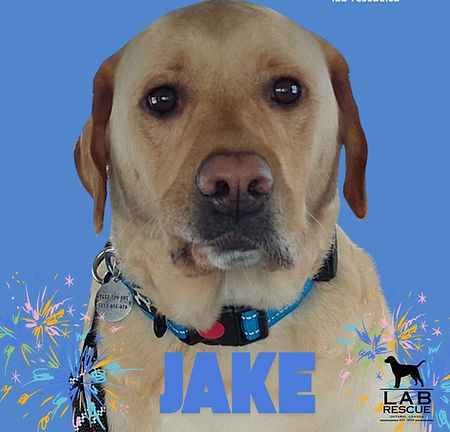 Jake