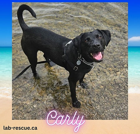 Carly