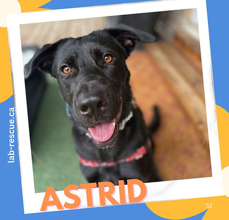 Astrid