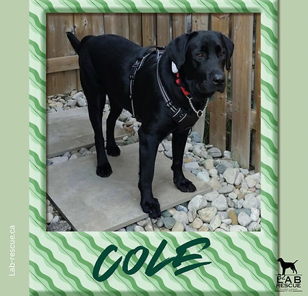 Cole
