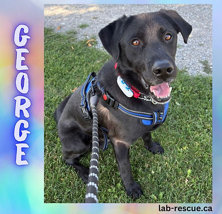 George
