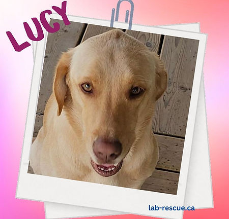 Lucy