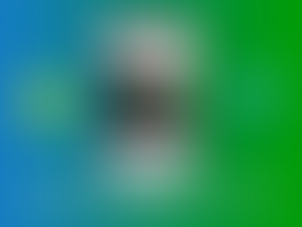 Integrating PlatformView into Flutter (Android)