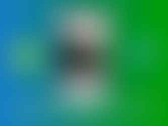 Integrating PlatformView into Flutter (Android)
