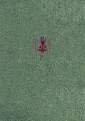 Hydra interactions with enemies