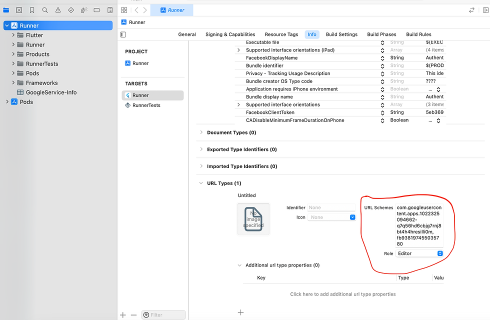 Xcode with open URL Schemes field