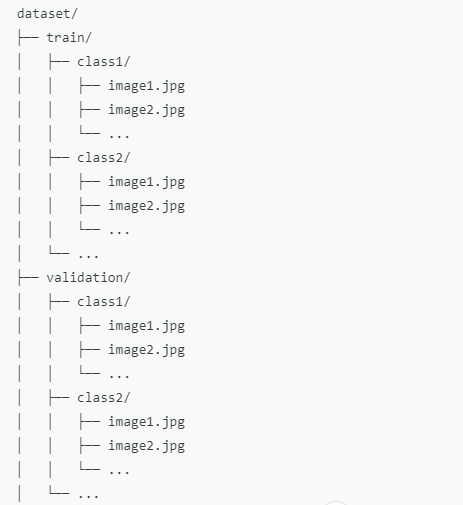dataset structure