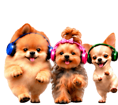 small dogs dancing and celebrating at Exclusive Boarding in Westminster, CA