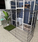 Cat Boarding Condo - The Bungalow