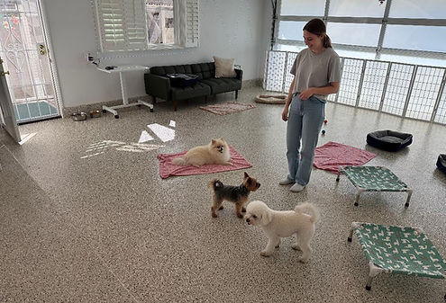 The Playroom