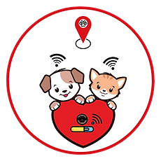 chip site redondo.png