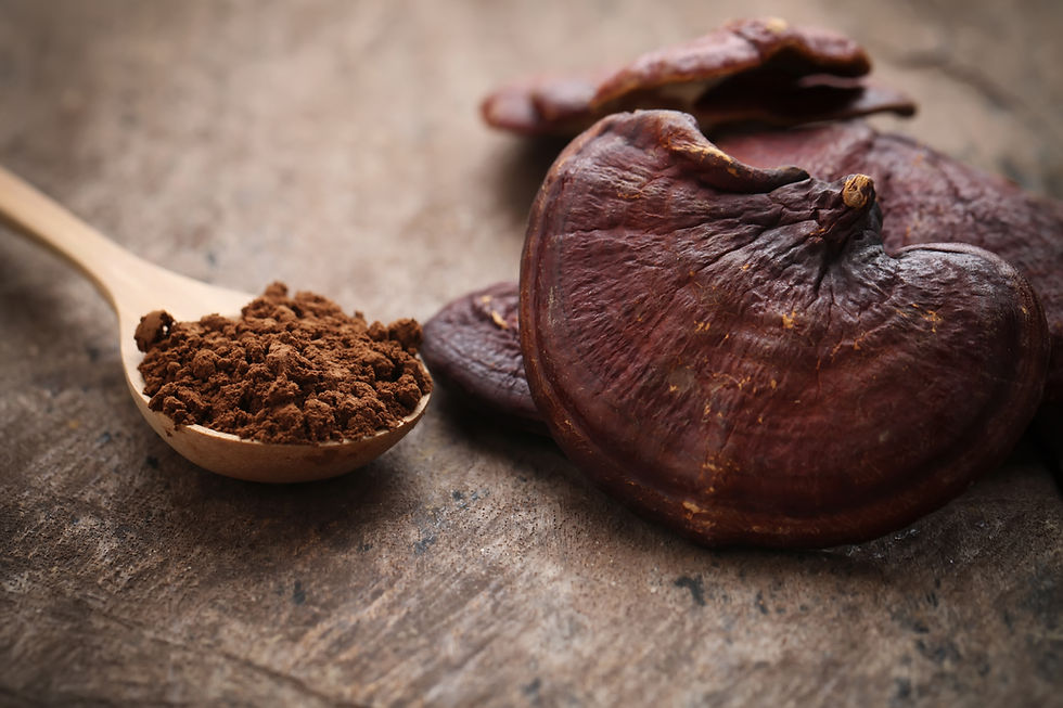 Mushroom reishi products