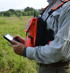 Excelsior biologist collecting data for a wetland survey Excelsior Environmental Consultants