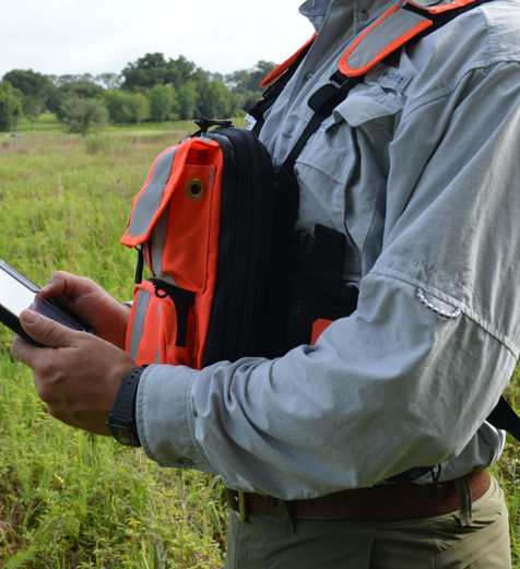 Excelsior field technician collecting data on a tablet during a wetland delineation in Volusia County- Excelsior Environmental Consultants