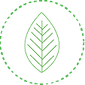 nature.png