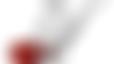 Revisión de Sistemas de Seguridad / $300