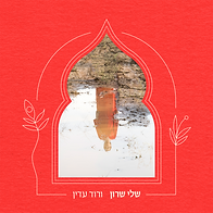ורוד עדין סטרימינג 1600 (1).png