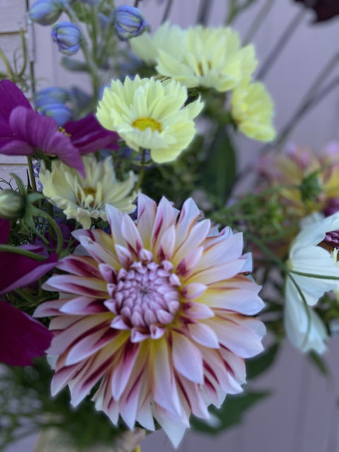 Dahlia and wildflowers bouquet