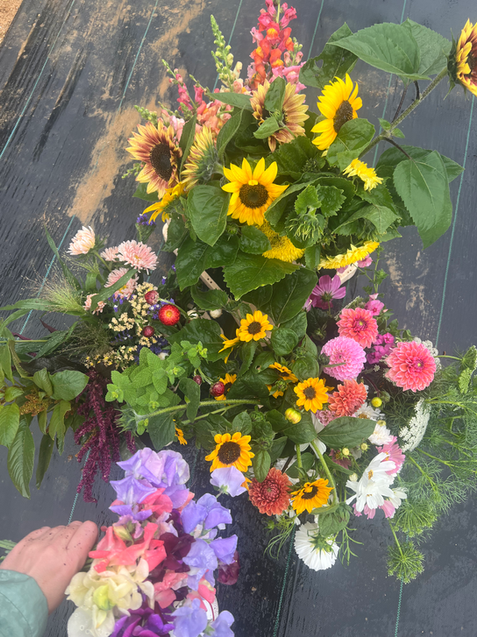 Vibrant sunflowers, dahlias and other blooms
