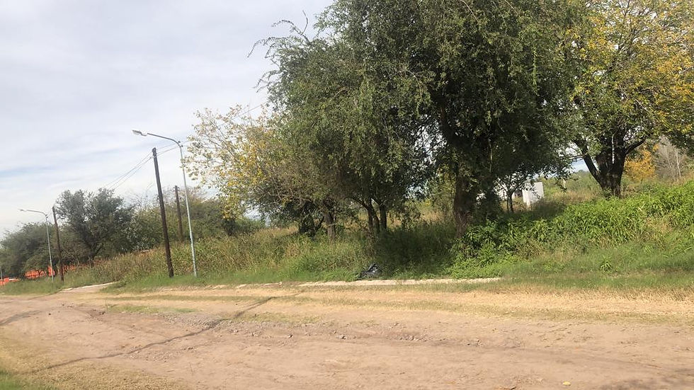 Miniatura: Nuevo Rio Ceballos Lote Comercial Grande 