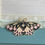 Thumbnail: Enamel Pin-Butterfly